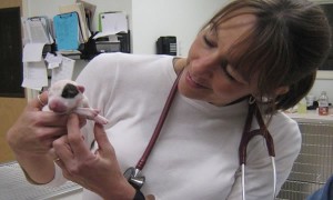 Vet Tech Lisa revives a newborn puppy.